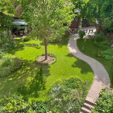 Burgblick Münzenberg