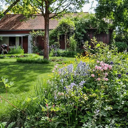 Burgblick * Münzenberg