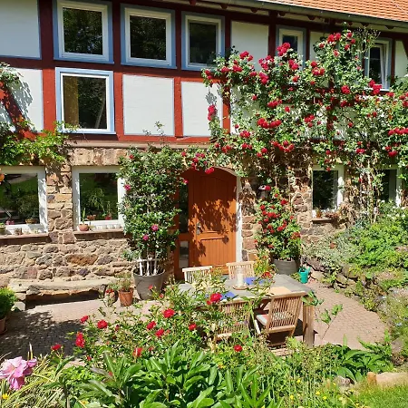 Burgblick Holiday home *