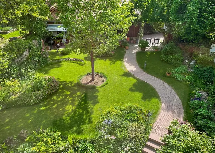 Burgblick Munzenberg