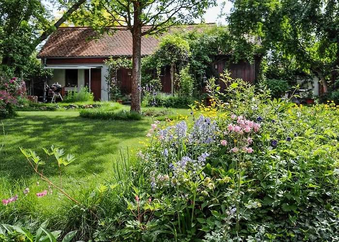 Burgblick * Munzenberg