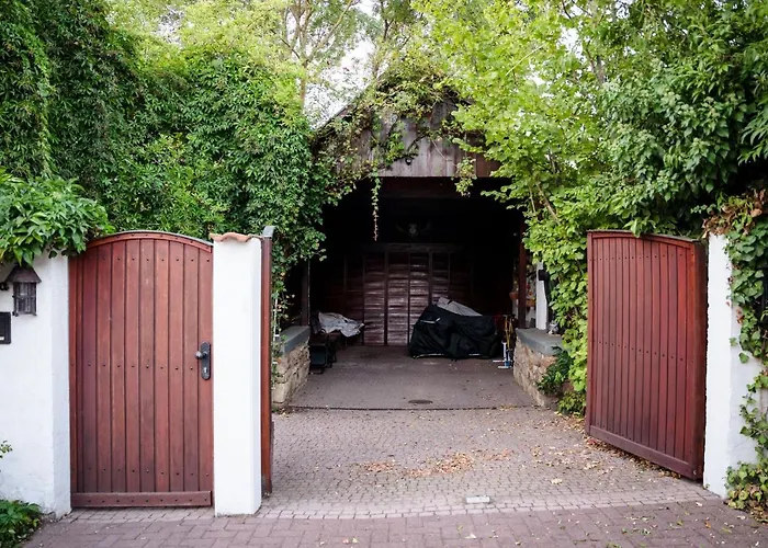 Burgblick Holiday home Munzenberg